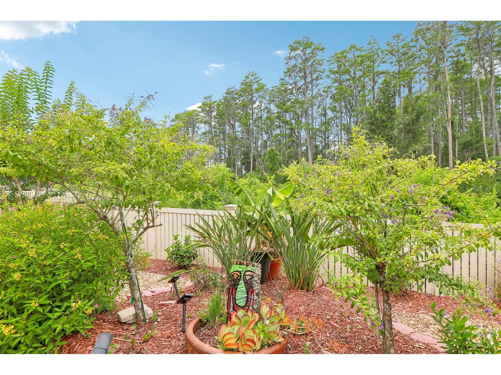 20932 Amanda Oak Court Land O Lakes FL 34638 A4695644 image41