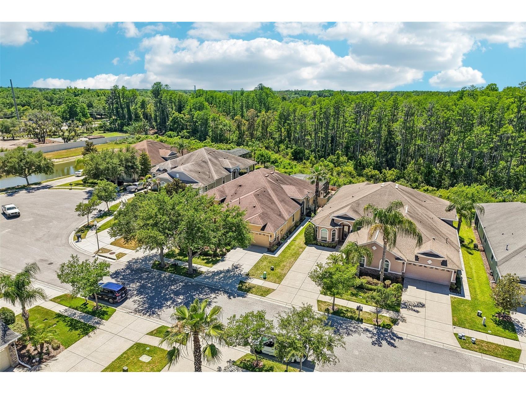 20932 Amanda Oak Court Land O Lakes FL 34638 A4695644 image48