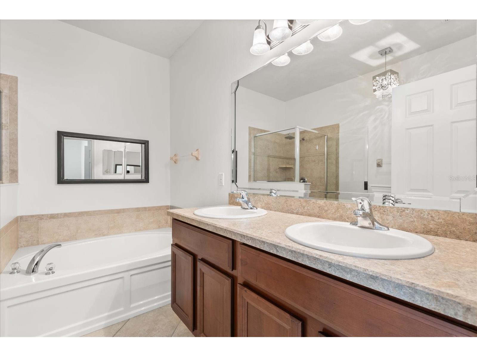 20934 Sullivan Ranch Boulevard Mount Dora FL 32757 O6401998 image15