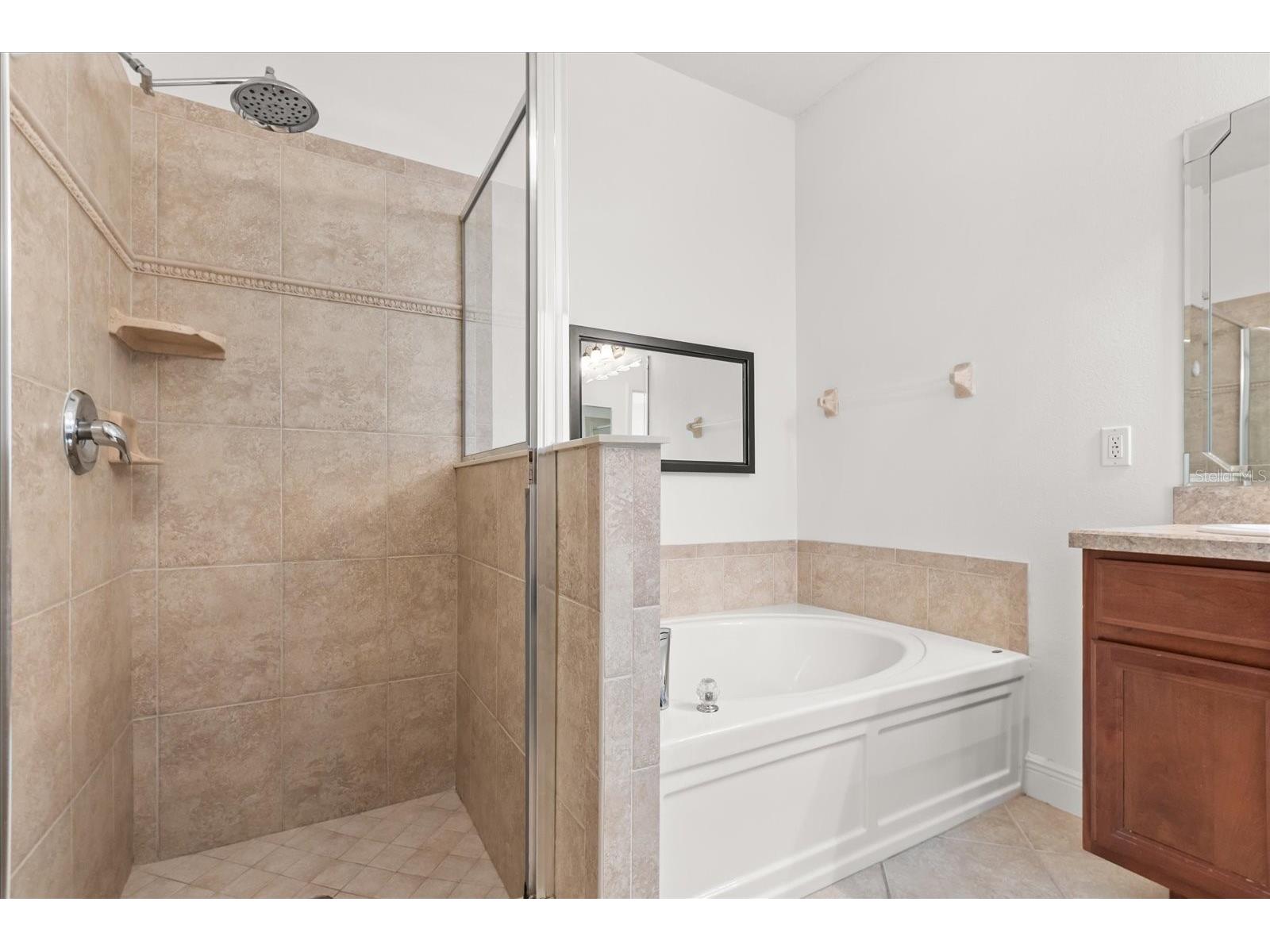 20934 Sullivan Ranch Boulevard Mount Dora FL 32757 O6401998 image19