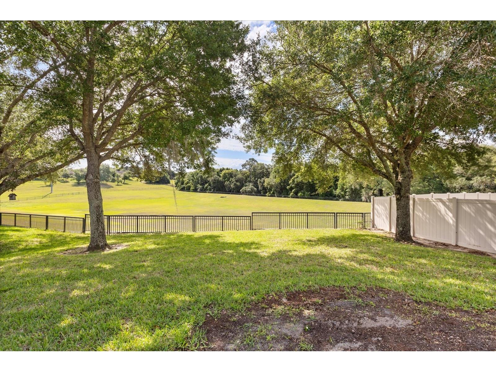 20934 Sullivan Ranch Boulevard Mount Dora FL 32757 O6401998 image22