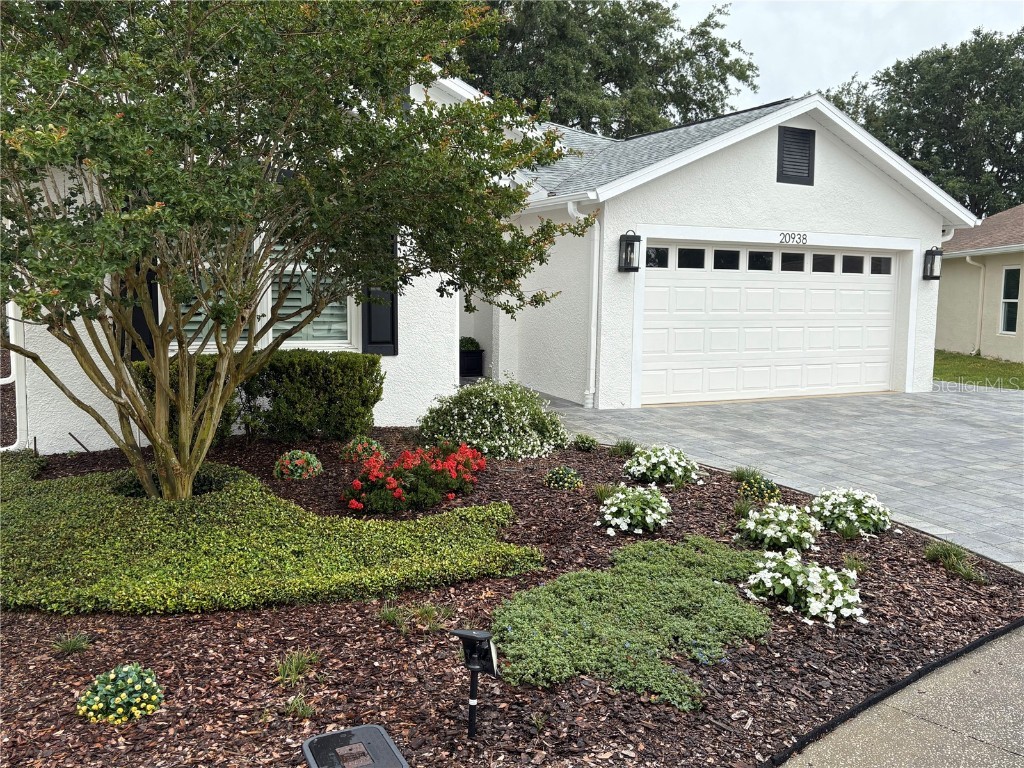 20938 Sunsweet Court Land O Lakes FL 34637 TB8391449 image1