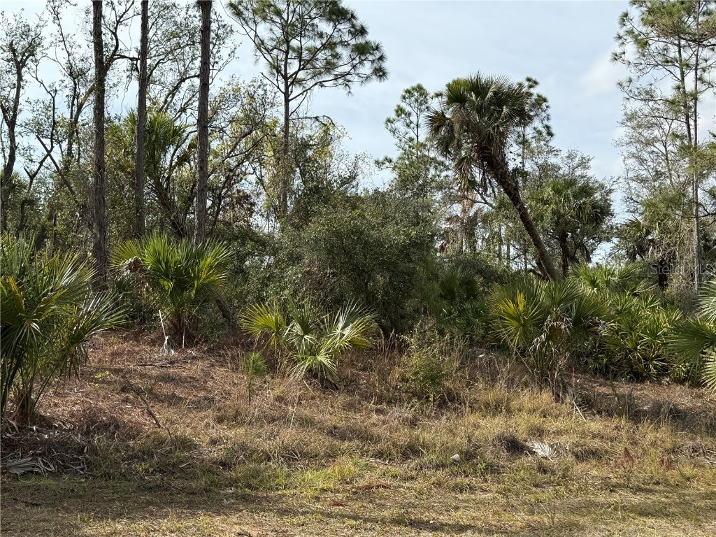 2094 Dorion Street Port Charlotte FL 33948 C7504317 image1