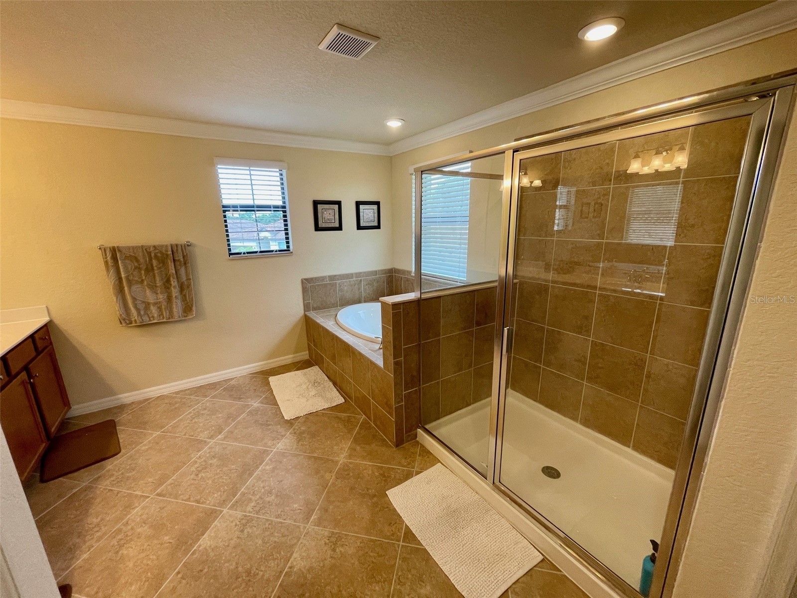 20940 Valore Court Venice FL 34293 A4687217 image19