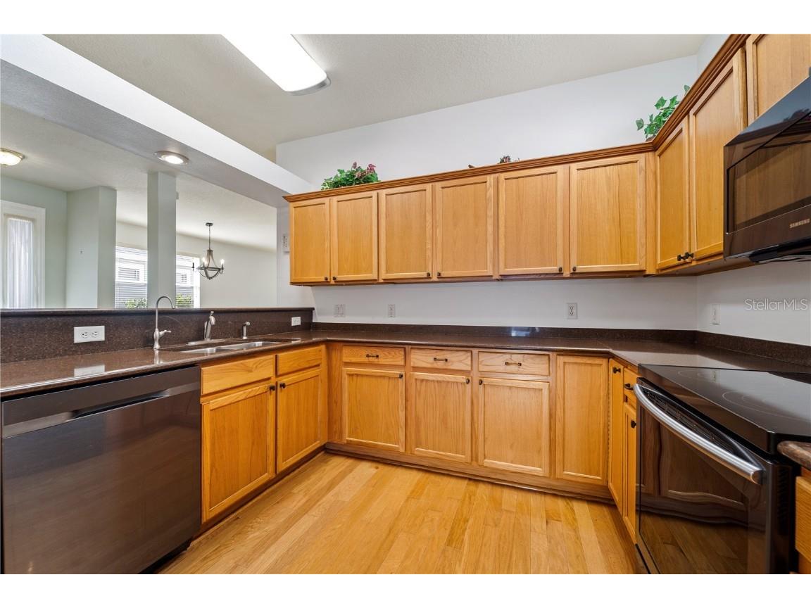 20941 Tangor Road Land O Lakes FL 34637 TB8433743 image14