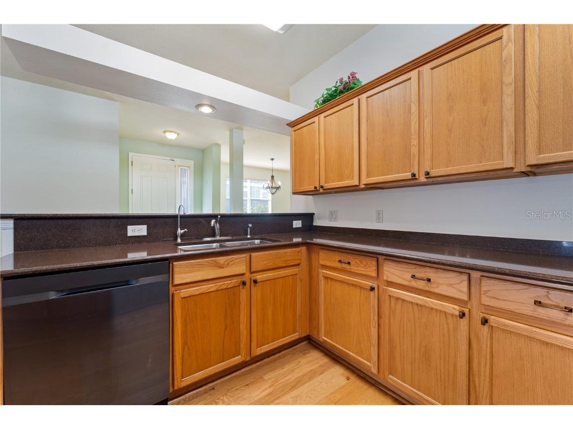 20941 Tangor Road Land O Lakes FL 34637 TB8433743 image15