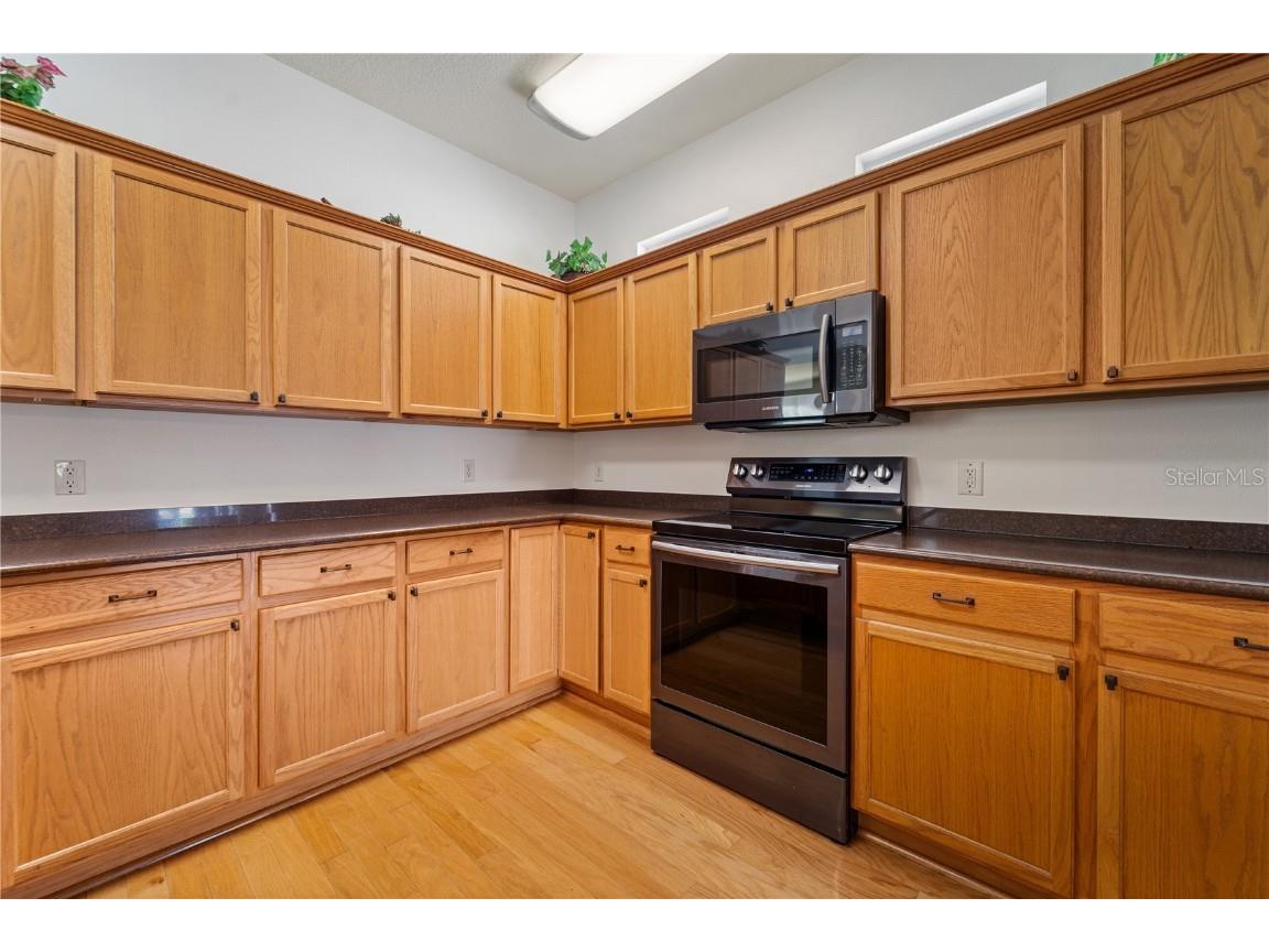 20941 Tangor Road Land O Lakes FL 34637 TB8433743 image16