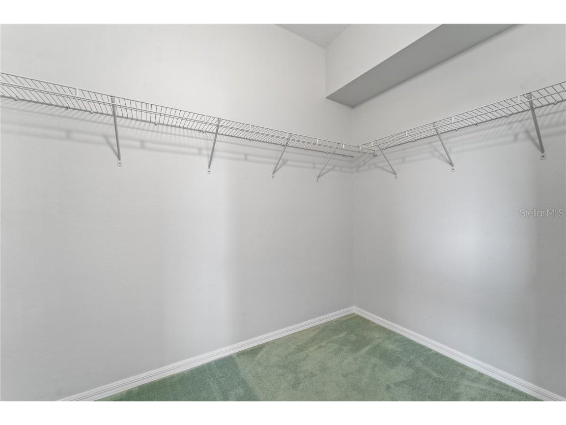 20941 Tangor Road Land O Lakes FL 34637 TB8433743 image29