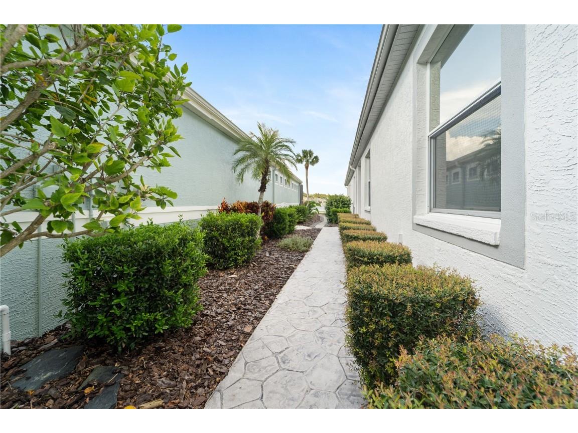 20941 Tangor Road Land O Lakes FL 34637 TB8433743 image3