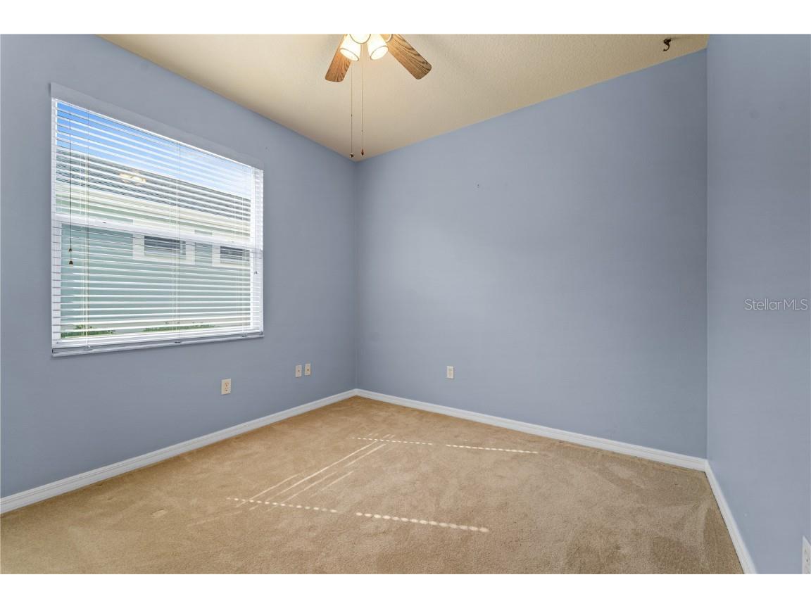 20941 Tangor Road Land O Lakes FL 34637 TB8433743 image34