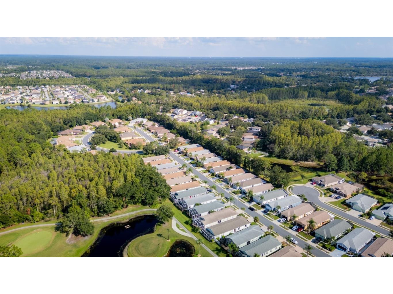 20941 Tangor Road Land O Lakes FL 34637 TB8433743 image39