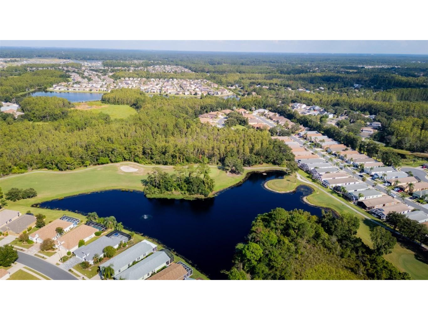 20941 Tangor Road Land O Lakes FL 34637 TB8433743 image40