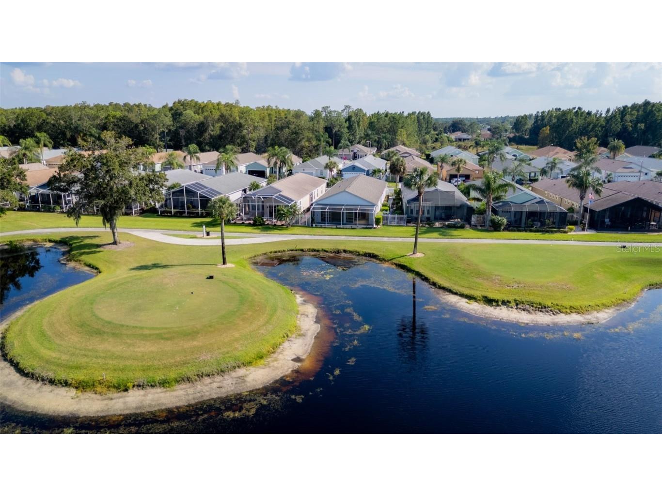 20941 Tangor Road Land O Lakes FL 34637 TB8433743 image41