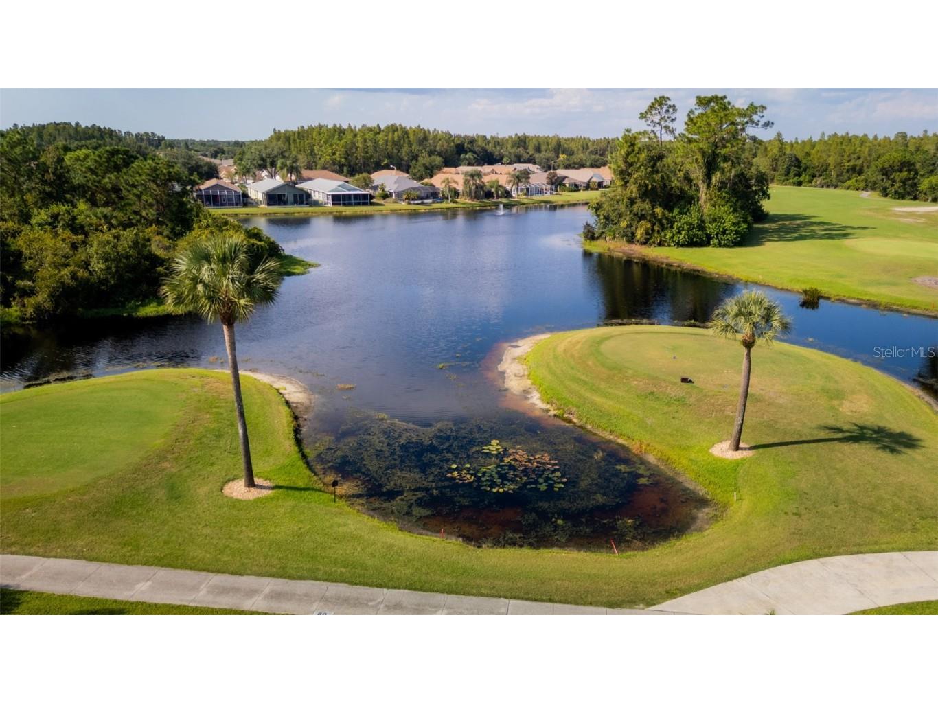 20941 Tangor Road Land O Lakes FL 34637 TB8433743 image43
