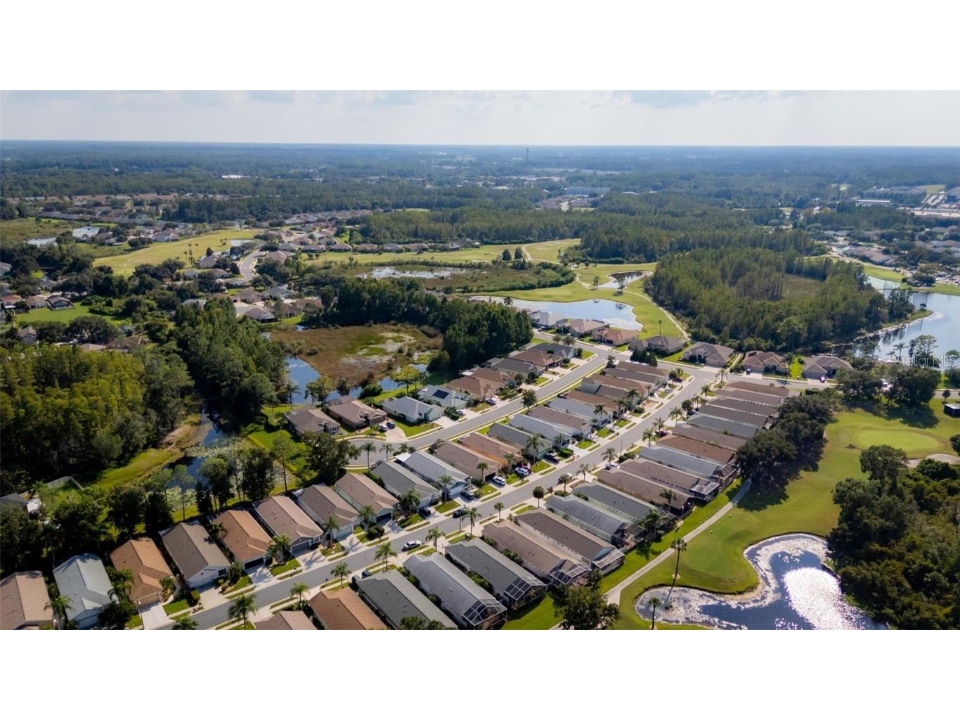 20941 Tangor Road Land O Lakes FL 34637 TB8433743 image44