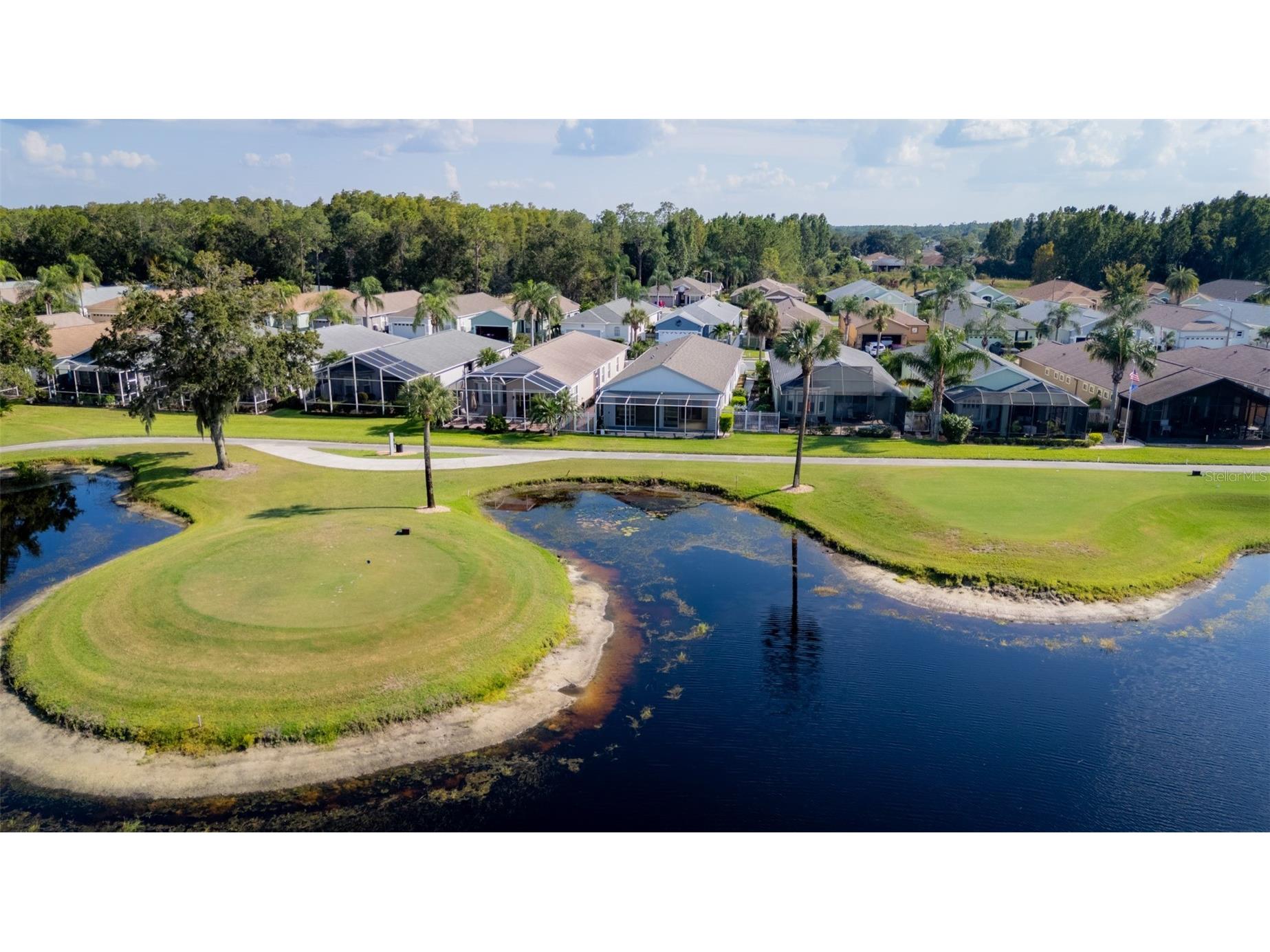 20941 Tangor Road Land O Lakes FL 34637 TB8493192 image1