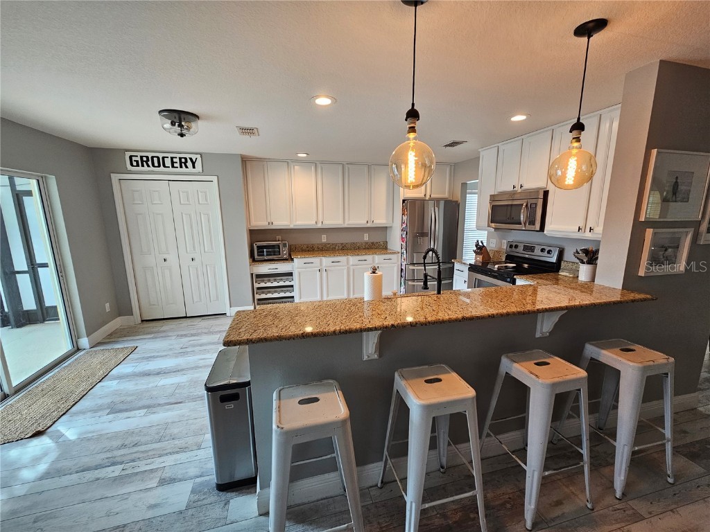 20946 Sullivan Ranch Boulevard Mount Dora FL 32757 G5106228 image11