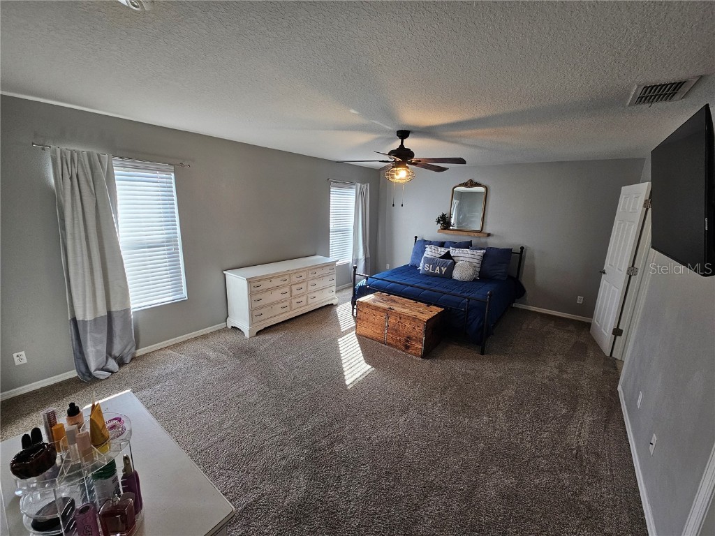 20946 Sullivan Ranch Boulevard Mount Dora FL 32757 G5106228 image15