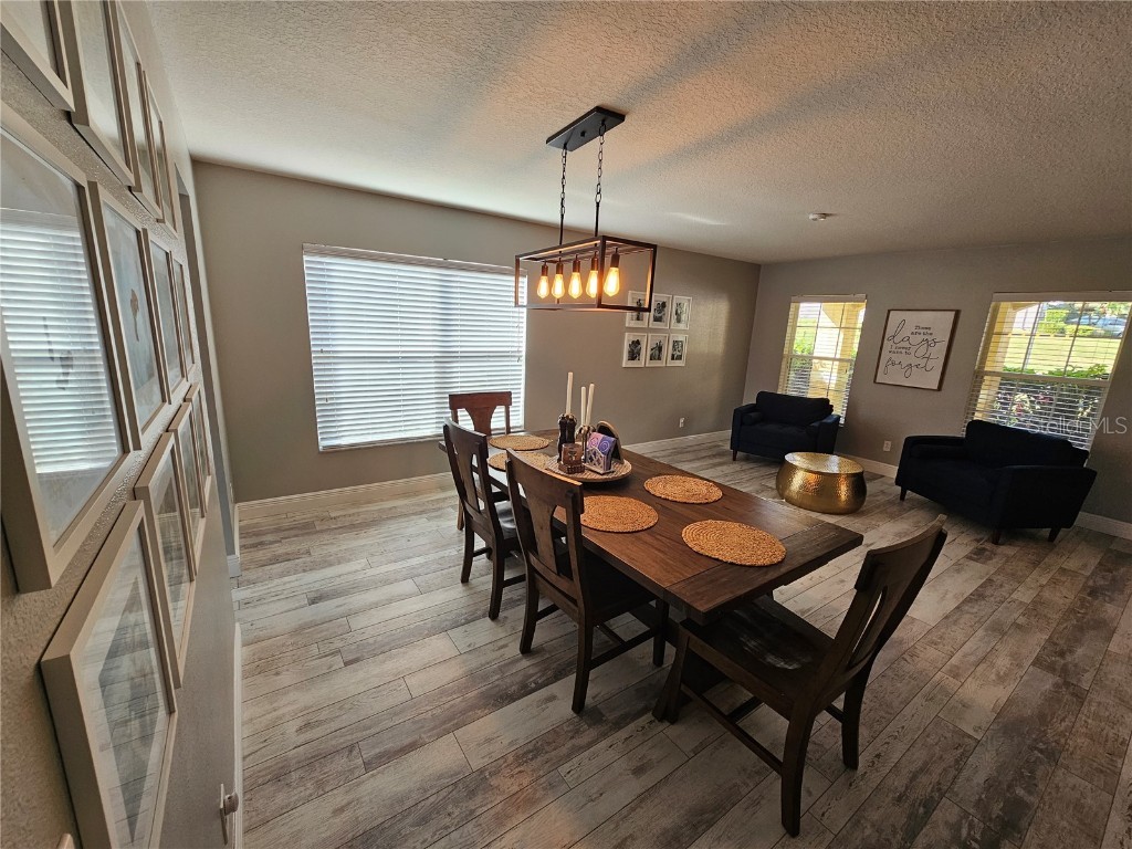 20946 Sullivan Ranch Boulevard Mount Dora FL 32757 G5106228 image7