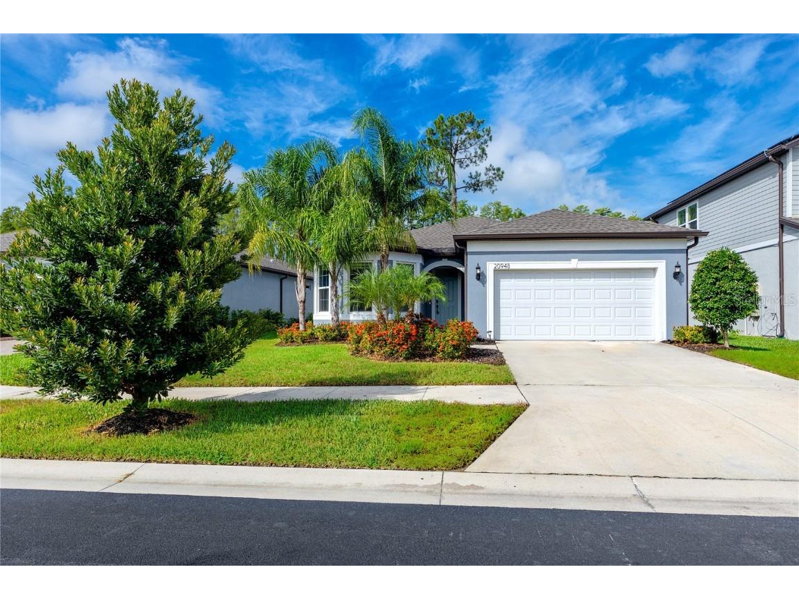 20948 Monza Loop Land O Lakes FL 34638 TB8417975 image1