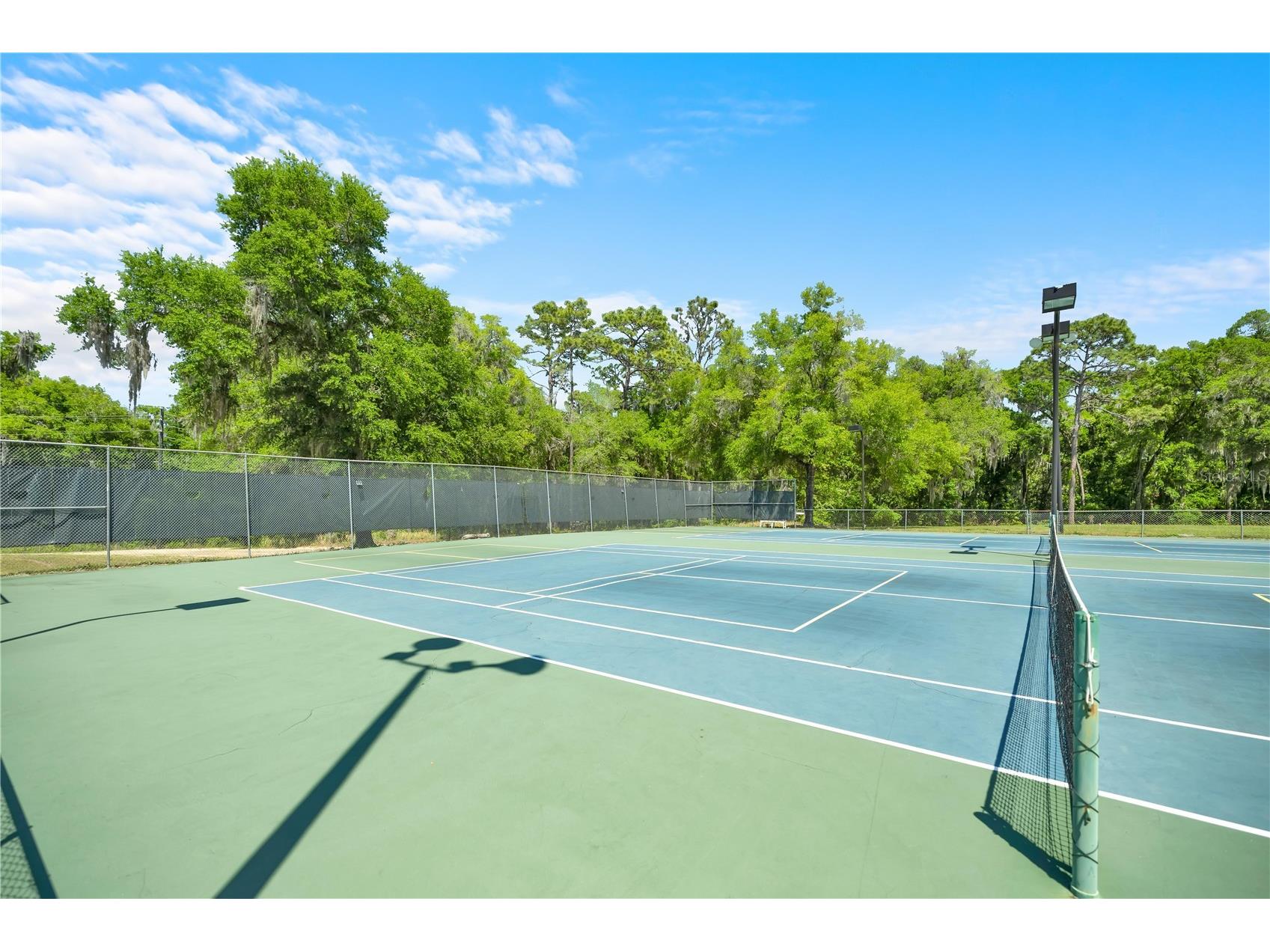 20949 SW 81st Loop Dunnellon FL 34431 OM722176 image49