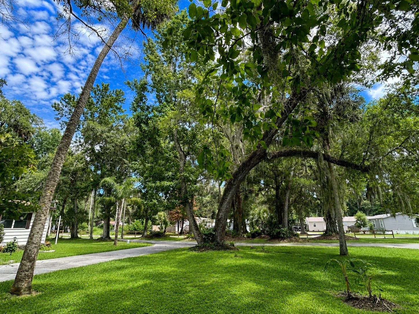 2095 Porto Boulevard New Smyrna Beach FL 32168 NS1088664 image5