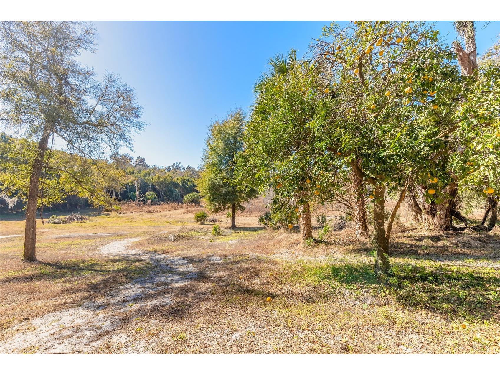 2095 Stone Road Deland FL 32720 V4947257 image10