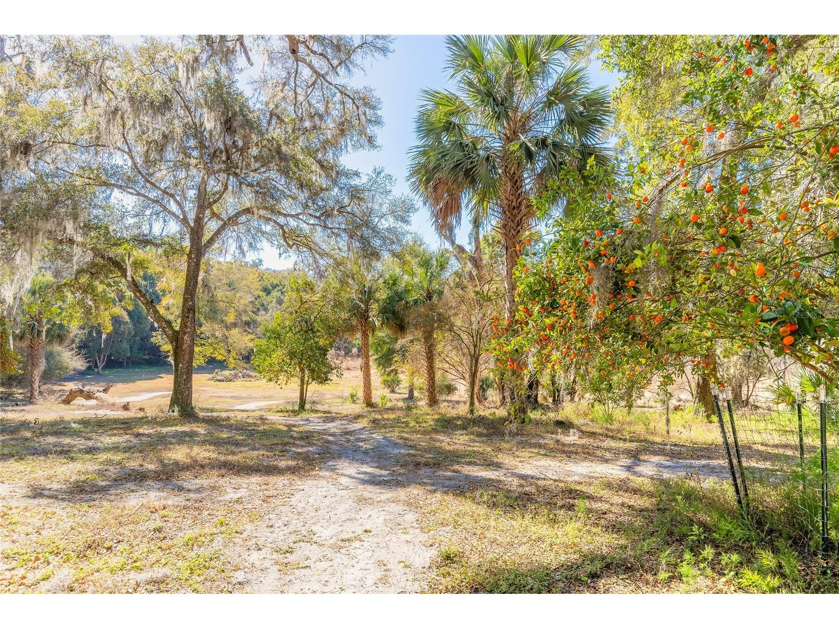 2095 Stone Road Deland FL 32720 V4947257 image12