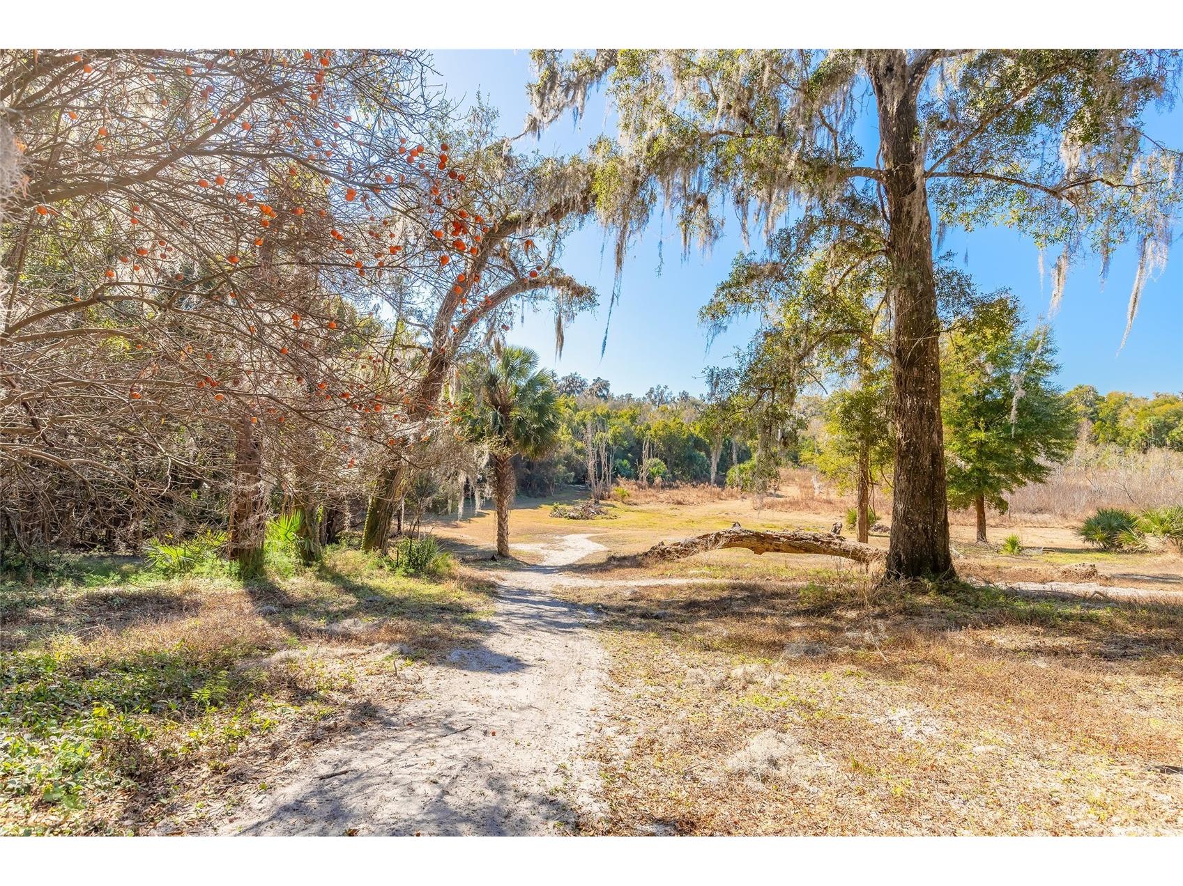 2095 Stone Road Deland FL 32720 V4947257 image13