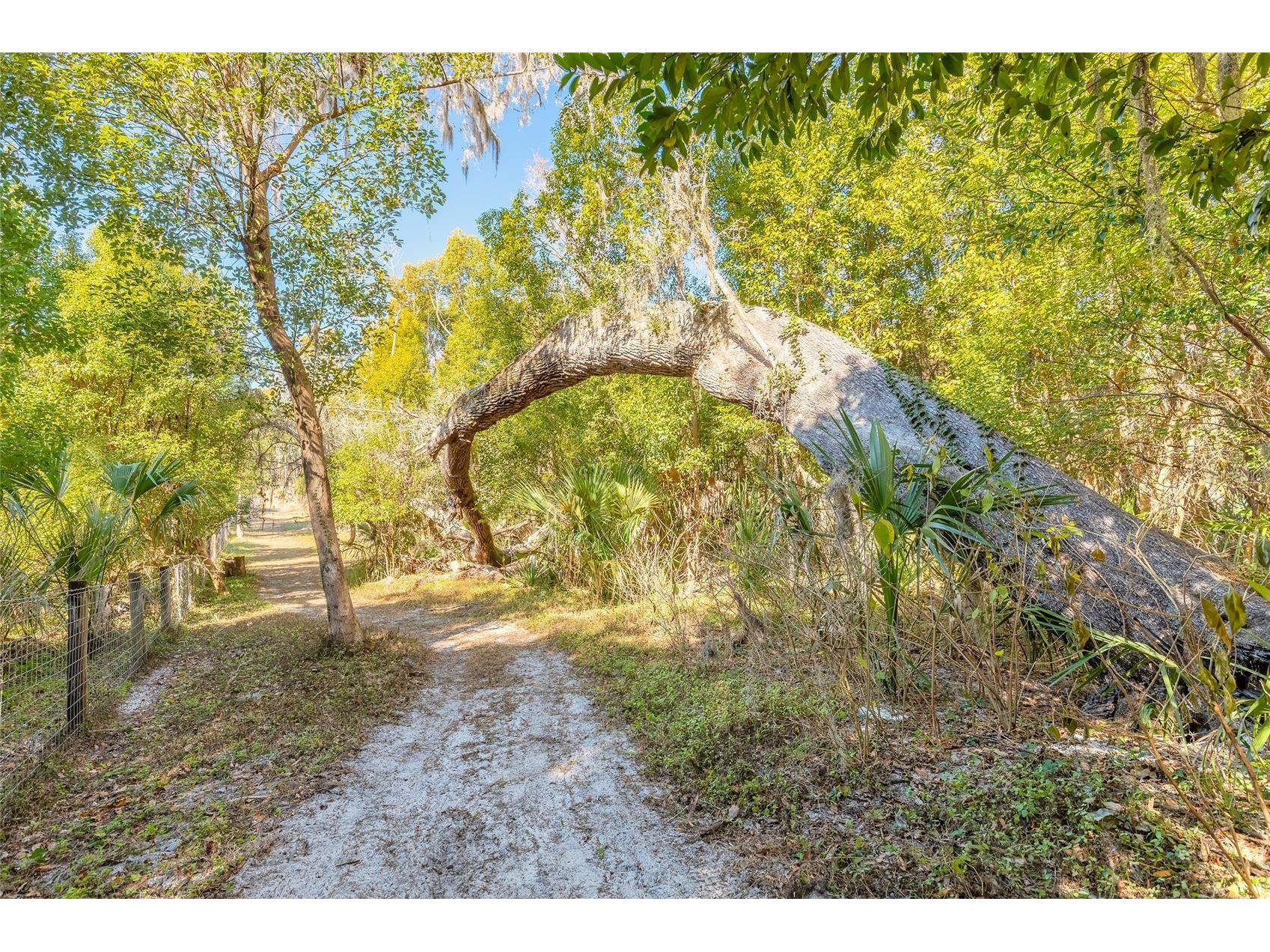 2095 Stone Road Deland FL 32720 V4947257 image14