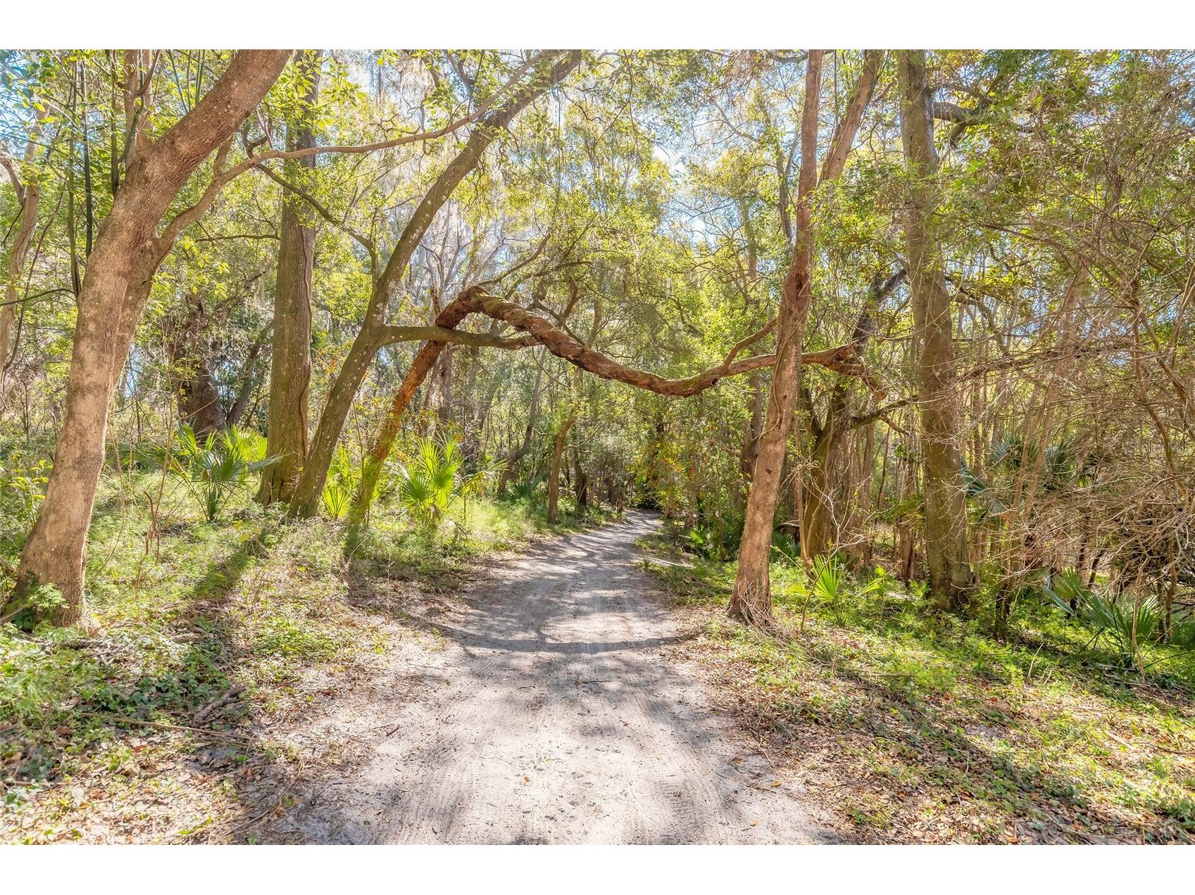 2095 Stone Road Deland FL 32720 V4947257 image15