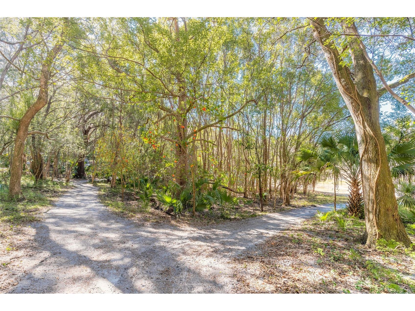 2095 Stone Road Deland FL 32720 V4947257 image16