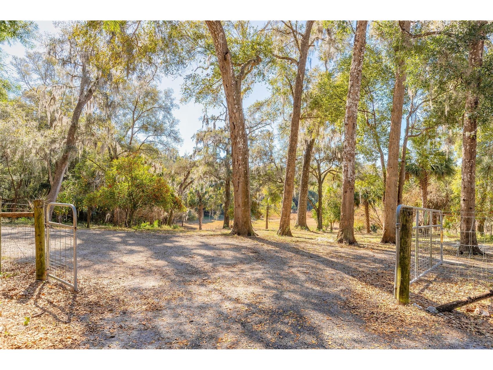 2095 Stone Road Deland FL 32720 V4947257 image17