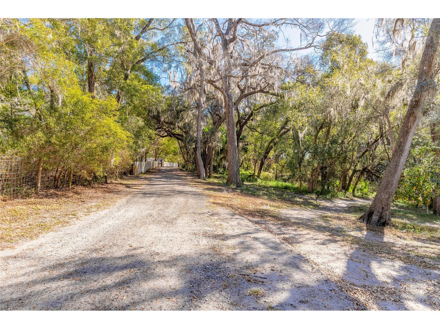 2095 Stone Road Deland FL 32720 V4947257 image18