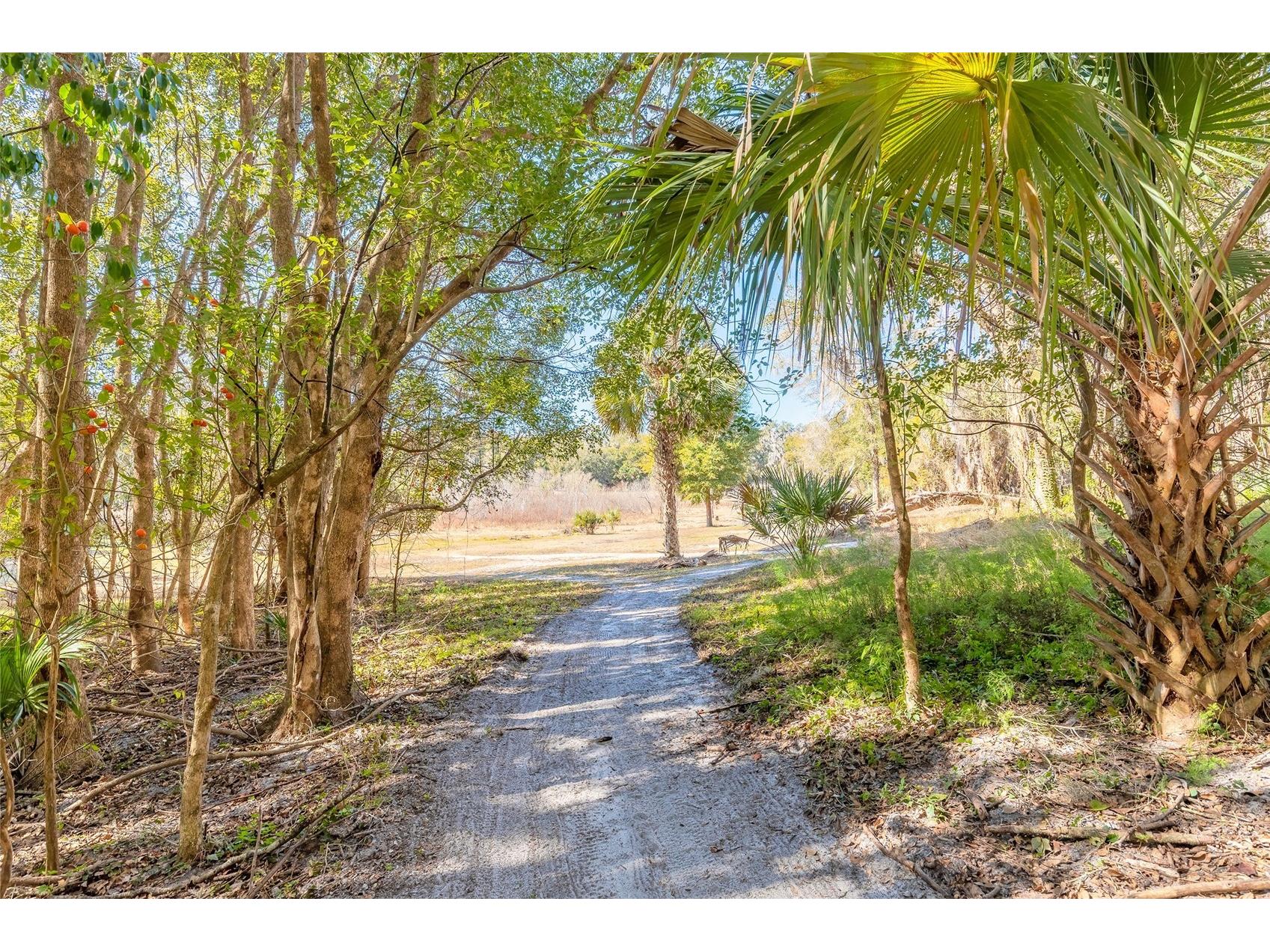2095 Stone Road Deland FL 32720 V4947257 image19