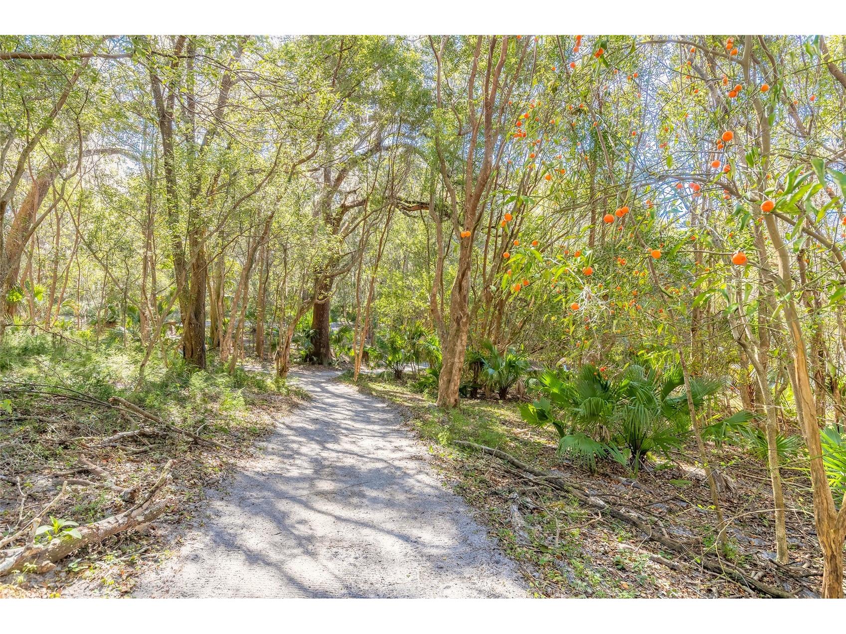 2095 Stone Road Deland FL 32720 V4947257 image20