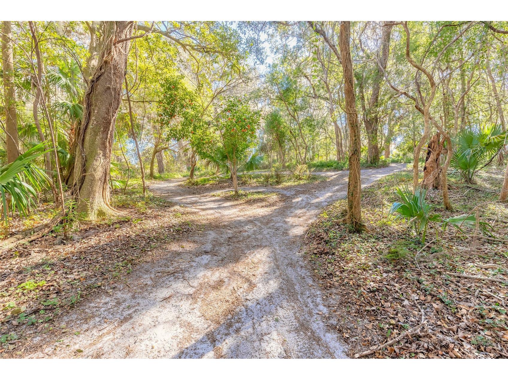 2095 Stone Road Deland FL 32720 V4947257 image21