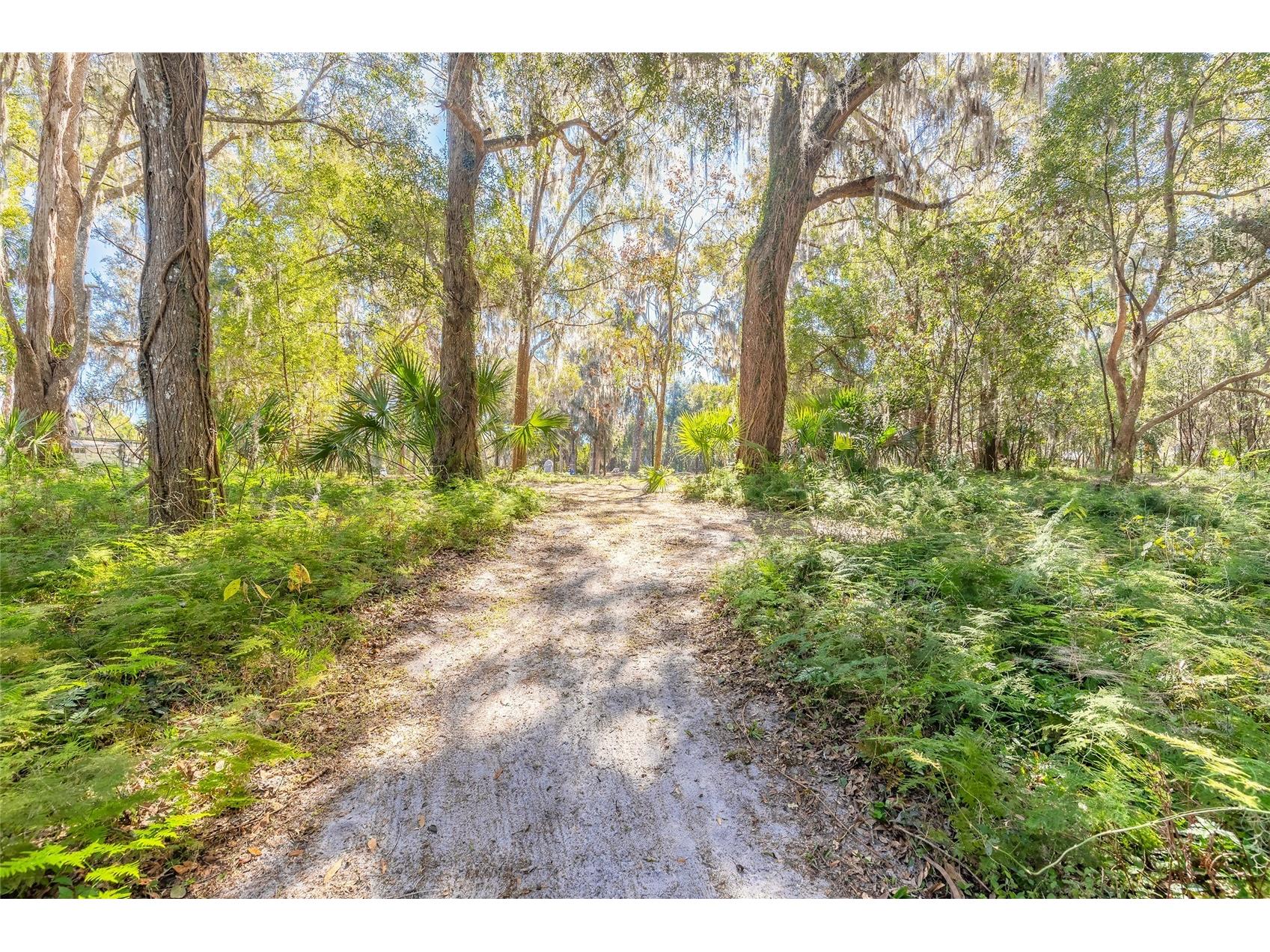 2095 Stone Road Deland FL 32720 V4947257 image22