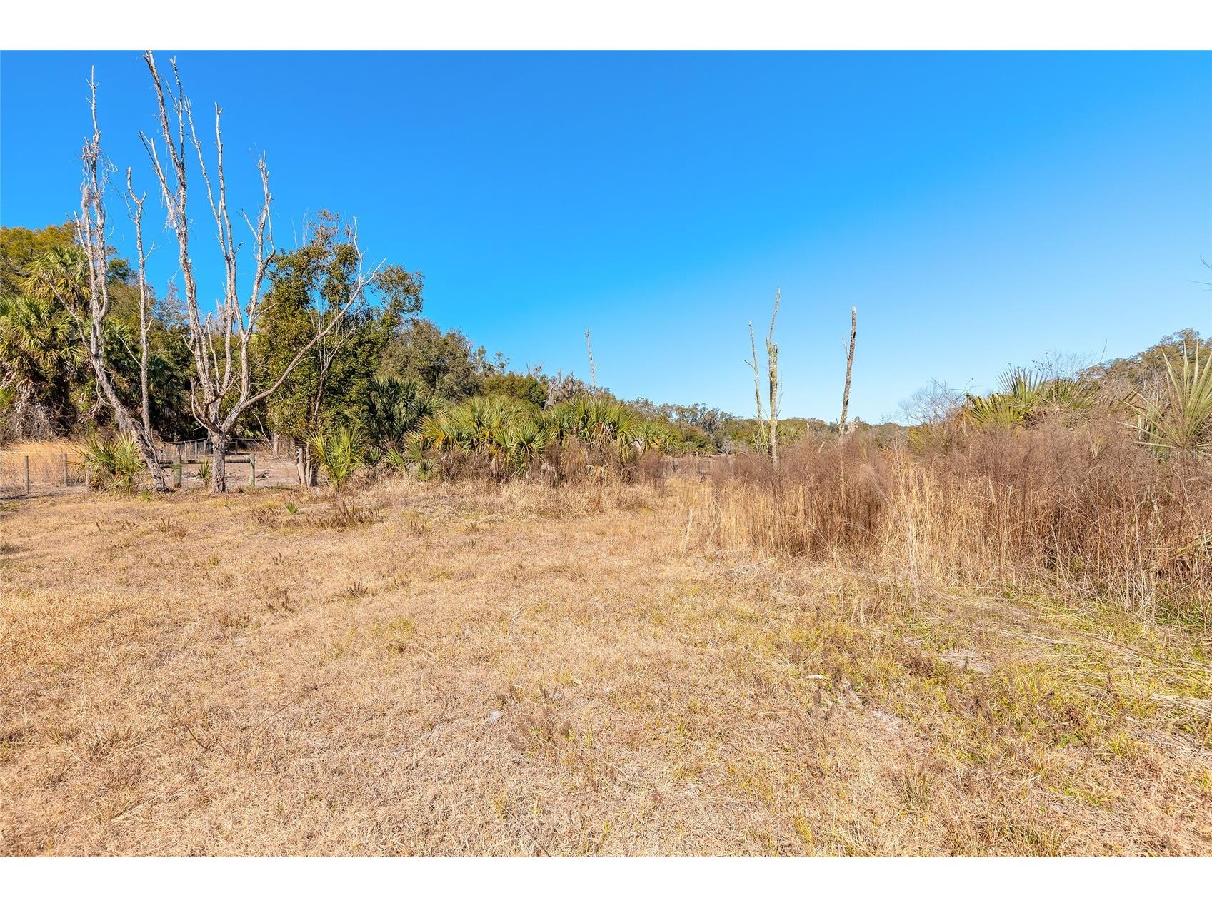 2095 Stone Road Deland FL 32720 V4947257 image23