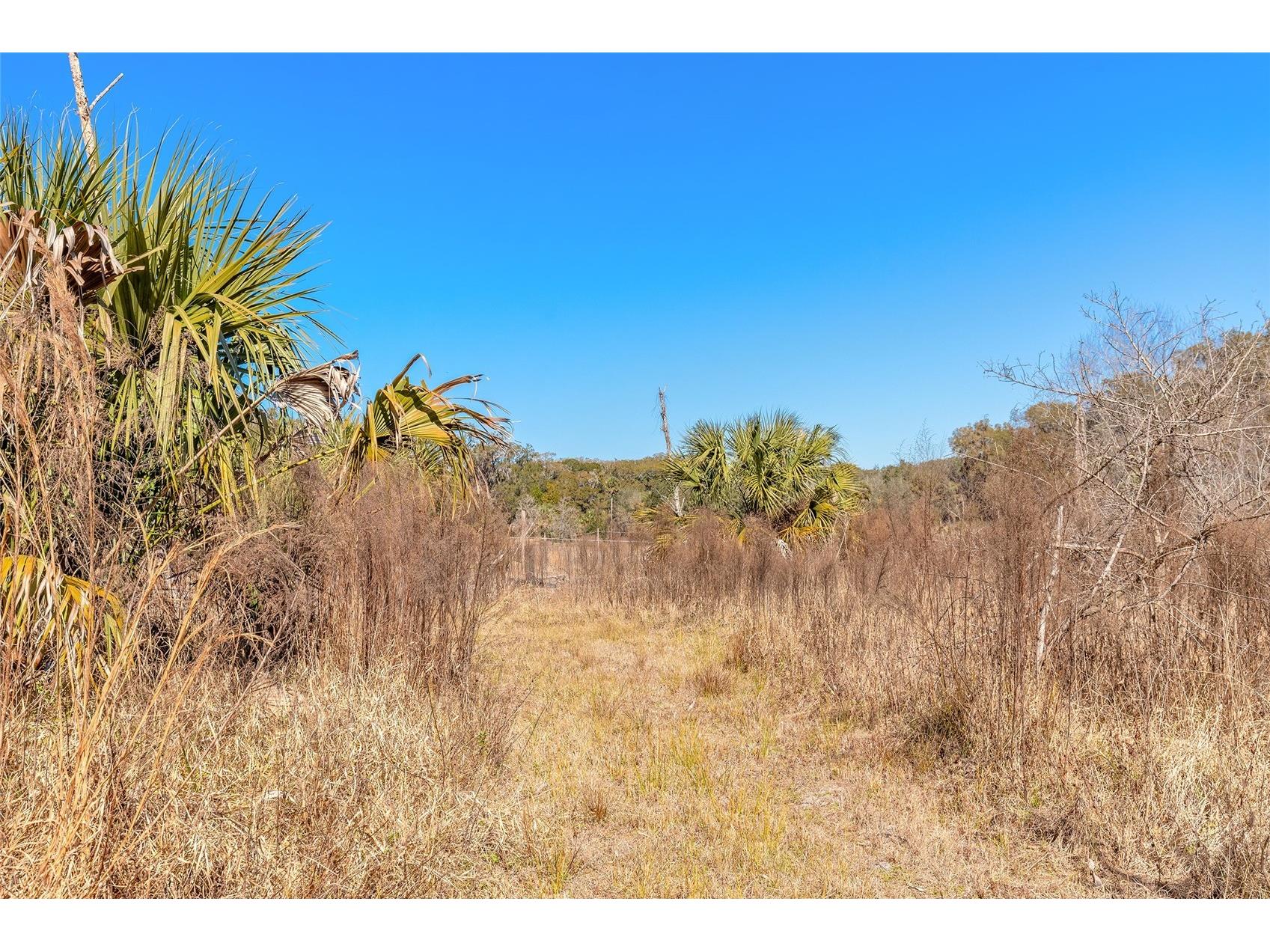 2095 Stone Road Deland FL 32720 V4947257 image24