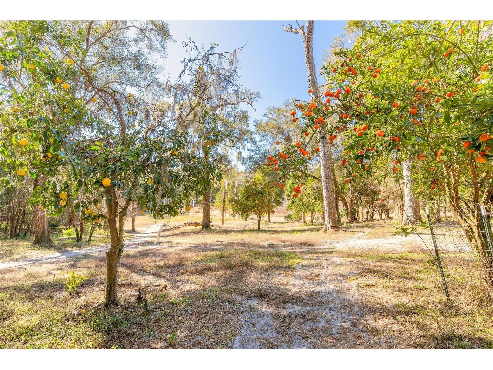 2095 Stone Road Deland FL 32720 V4947257 image3