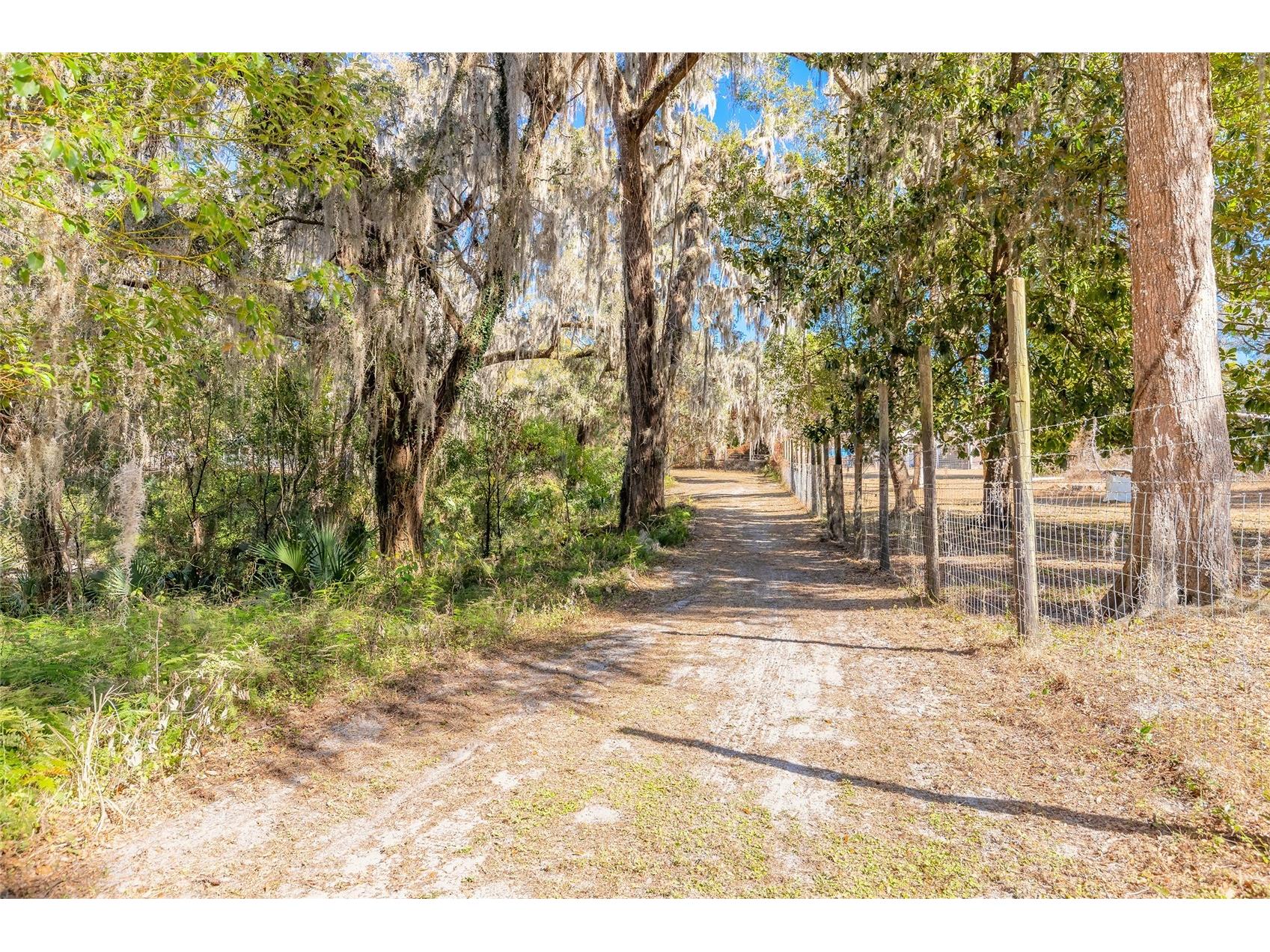 2095 Stone Road Deland FL 32720 V4947257 image4