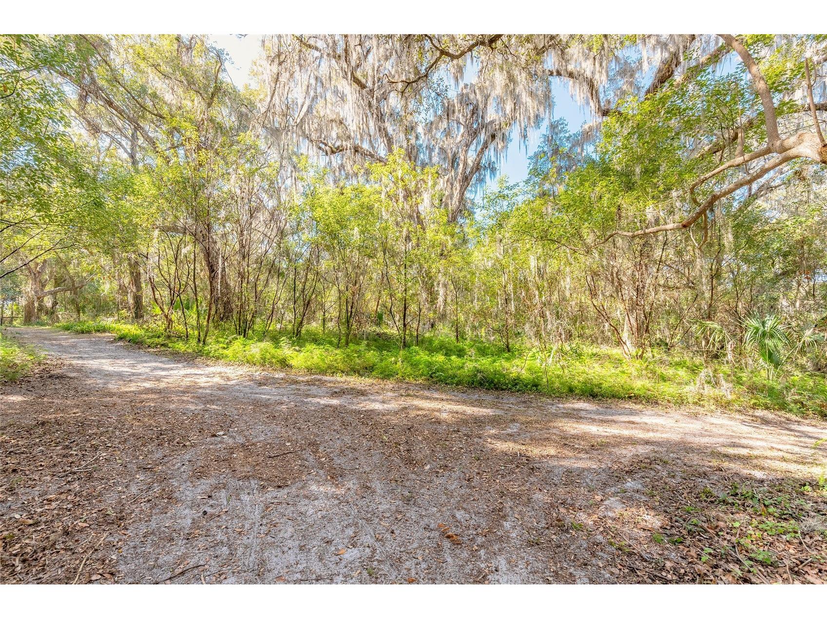 2095 Stone Road Deland FL 32720 V4947257 image5