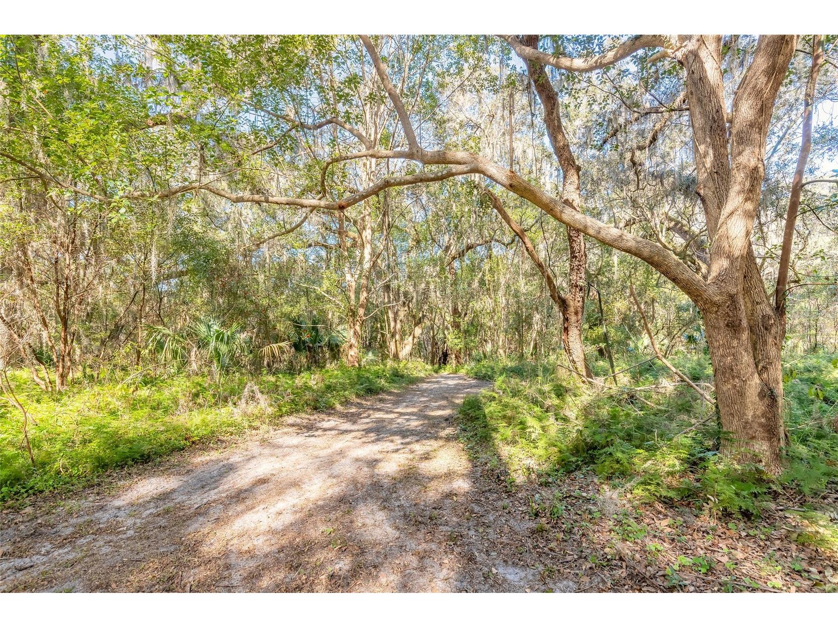 2095 Stone Road Deland FL 32720 V4947257 image6