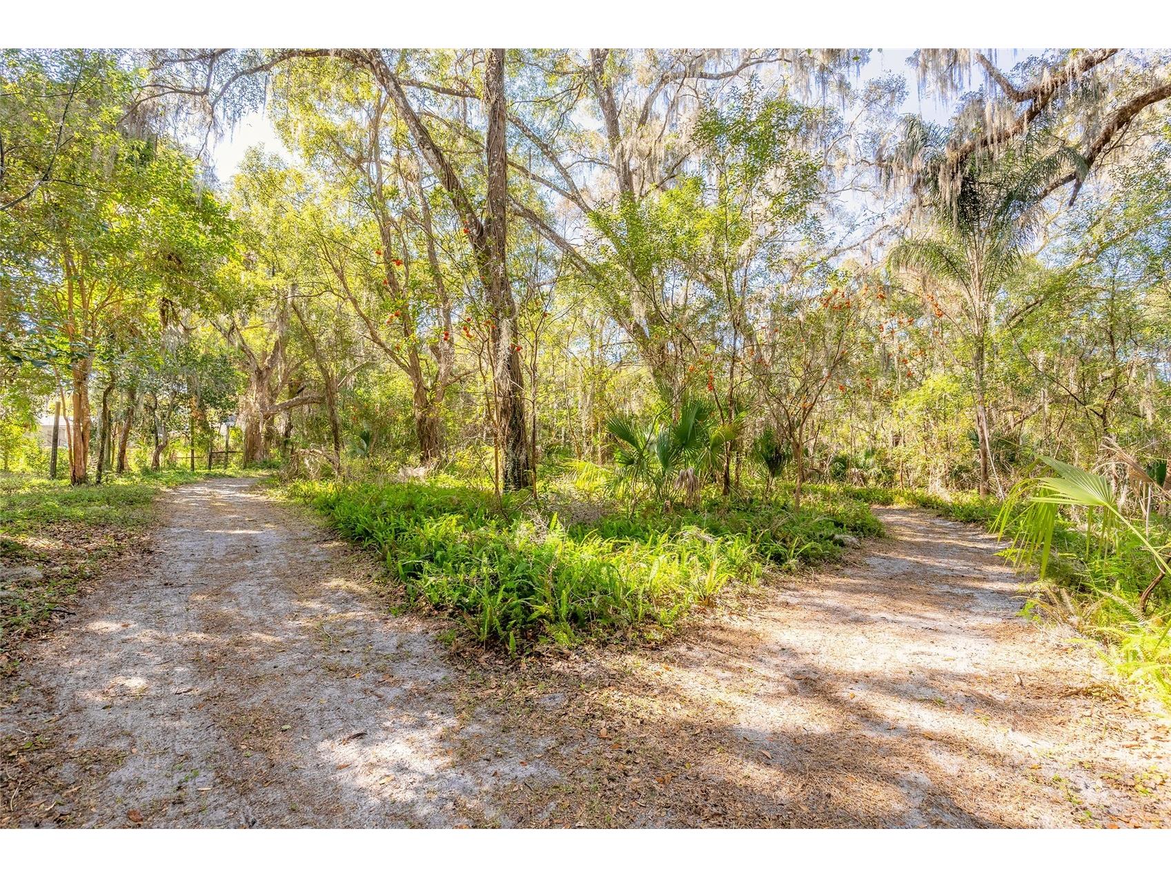 2095 Stone Road Deland FL 32720 V4947257 image7