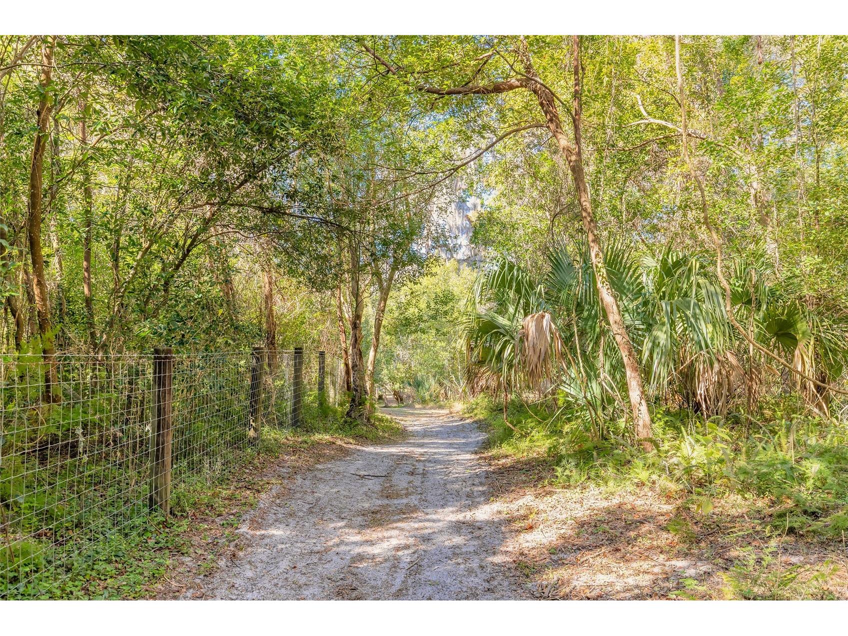 2095 Stone Road Deland FL 32720 V4947257 image8
