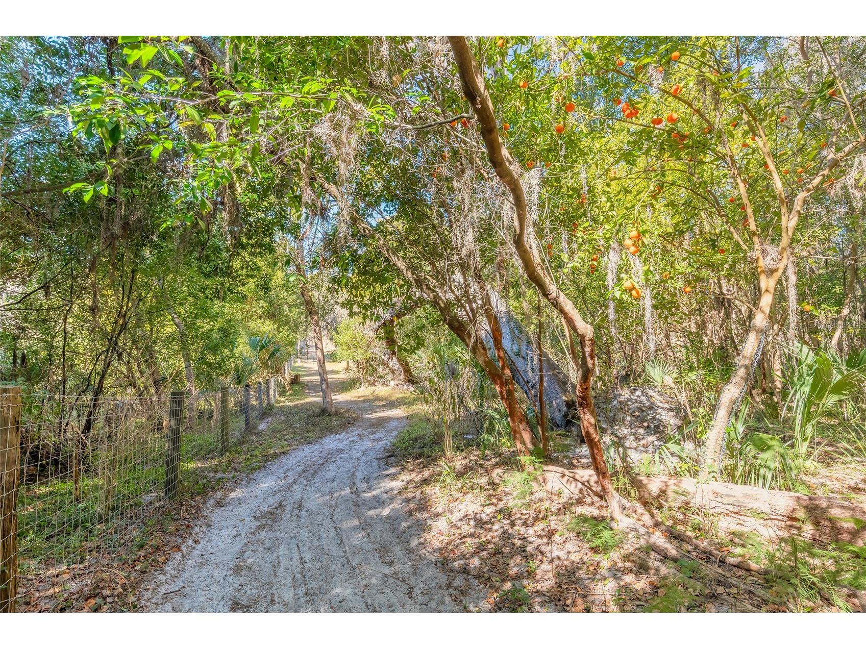 2095 Stone Road Deland FL 32720 V4947257 image9