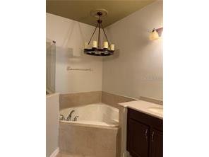2095 Velvet Leaf Drive Ocoee FL 34761 O6398721 image10