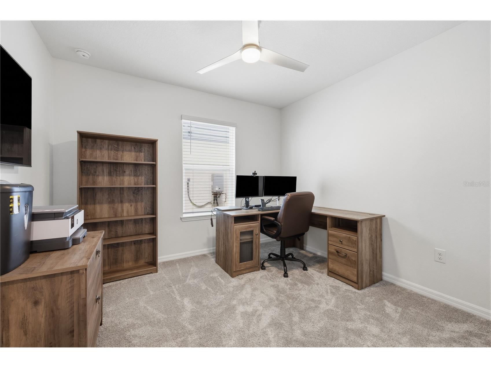 20958 Drake Elm Drive Land O Lakes FL 34638 TB8524663 image14