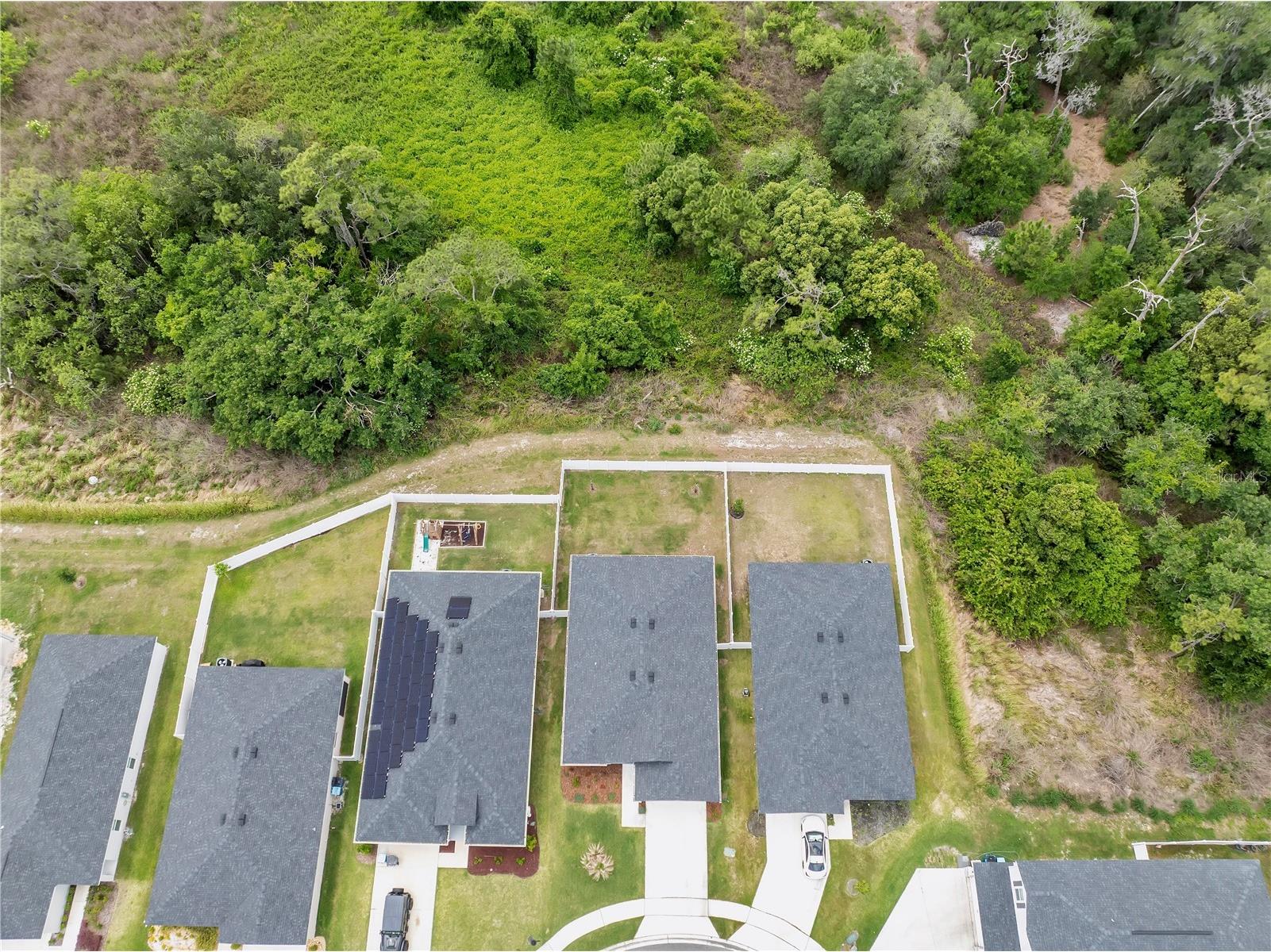 2096 Golden Beak Drive Eagle Lake FL 33839 TB8501339 image37